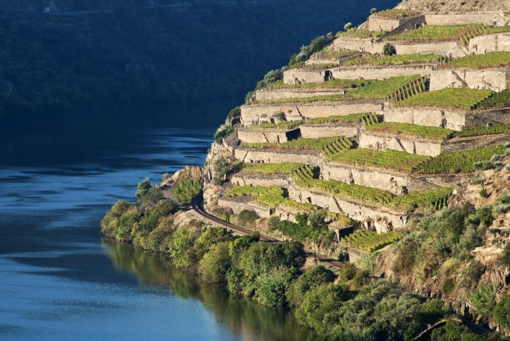 douro valley the wine junkies