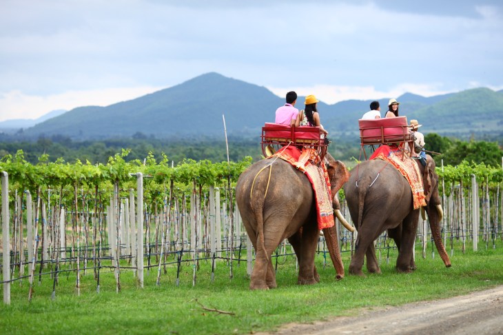 hua hin monsoon valley the wine junkies