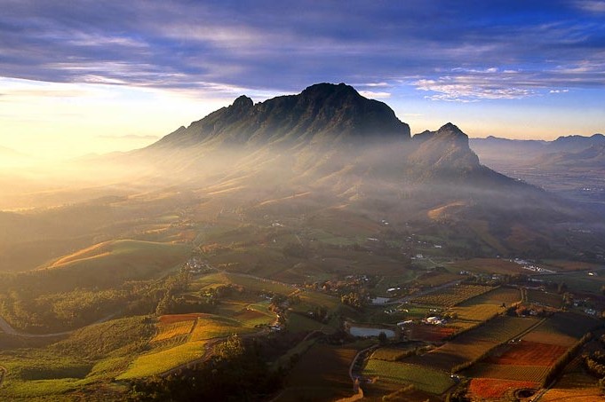 stellenbosch the wine junkies