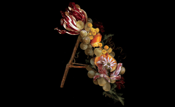 Andevine4_thewinejunkies