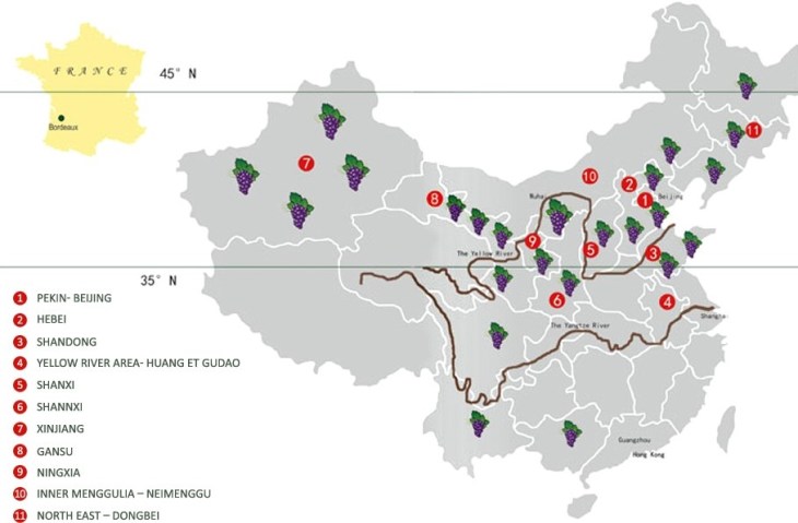 the_wine_junkies_pic5