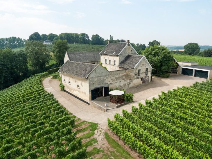 the_wine_junkies_apostelhoeve