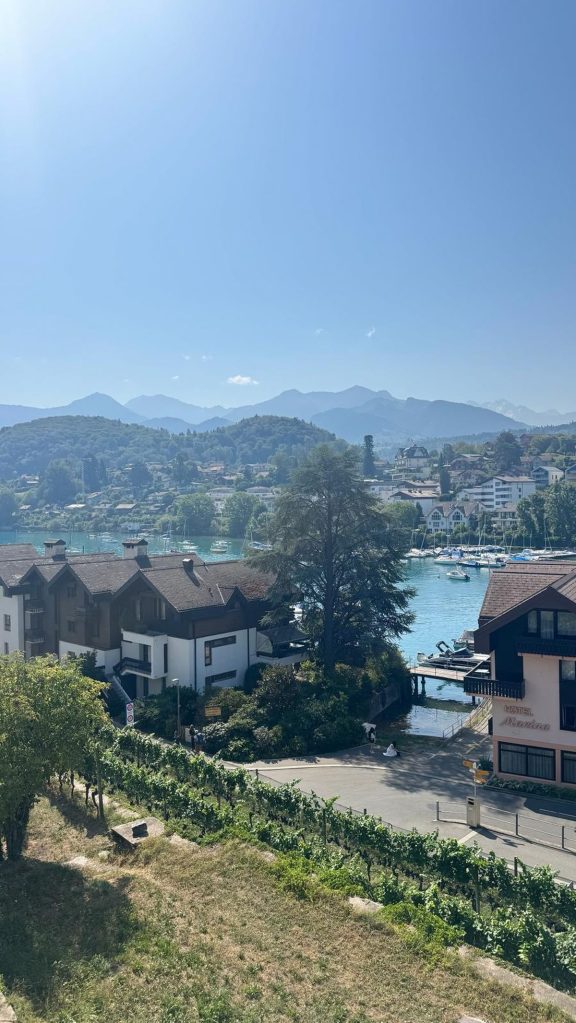Vine rows in the foreground above Spiez harbour, with moored sailing boats on the turquoise water of Lake Thun